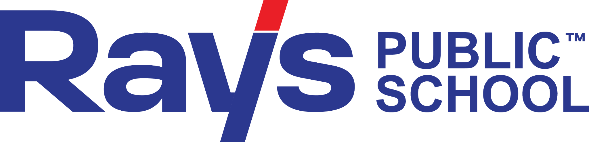 Rays Public School